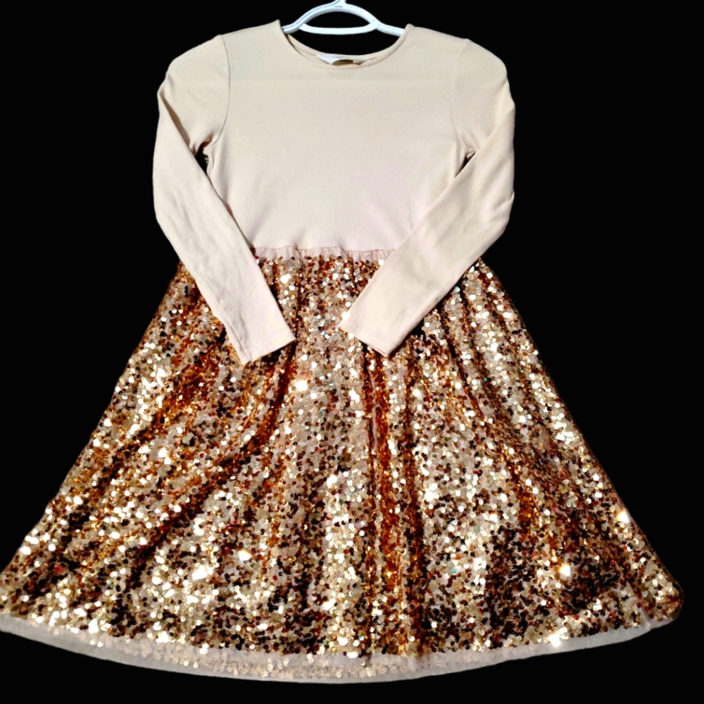 Girl shiny dress
